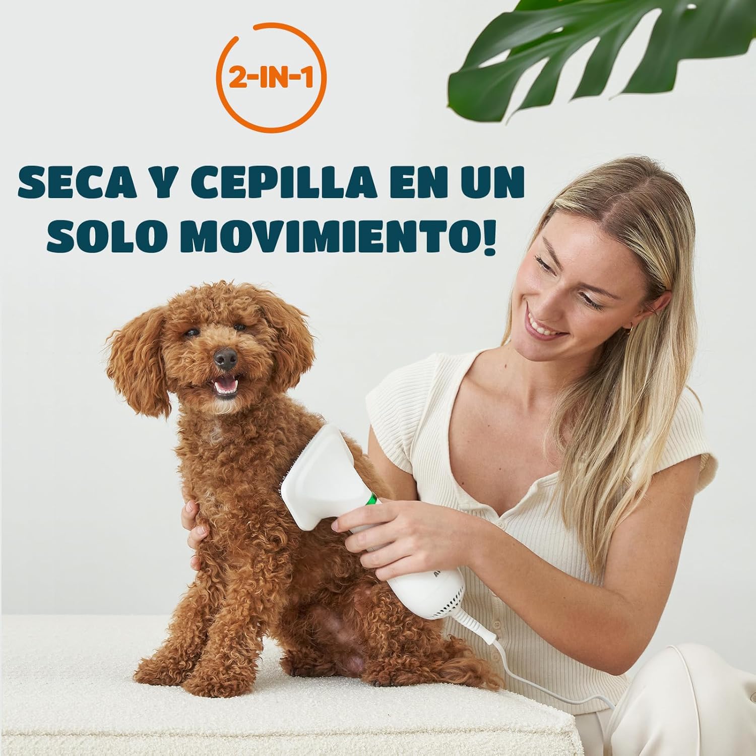 Cepillo secador 2 en 1 para mascotas