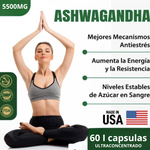 ASHWAGANDHA AMERICANO | ALTA CONCENTRACIÓN | 5500 mg | 60 Cápsulas NUEVA FORMULA TOMA 2 AL DÍA .🎯 Controla el Estrés y Duerme Mejor . LLEVE 4 Y TE REGALAMOS 1 +